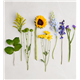 191119_alt2_(1)